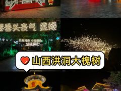 -大槐树寻根祭祖园