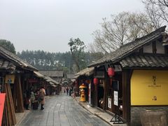 -秀丽东方