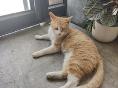 -隹木咖啡馆(宝龙广场店)