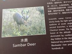 -西岭雪山大飞水景区