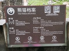 -都江堰中华大熊猫苑