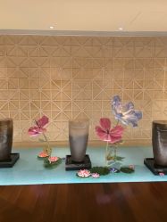 -青岛香格里拉·氣水疗中心