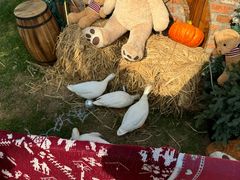 -HERRE·FARM 赫尔露营农场·团建聚会包场