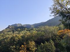 -阳台山自然风景区