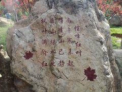 -广州市帽峰山景区
