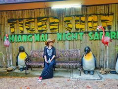 -清迈夜间动物园