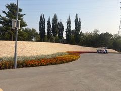 -永定河休闲森林公园