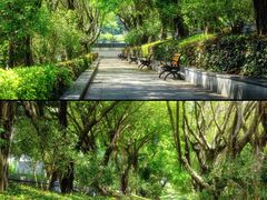 -深圳国际园林花卉博览园