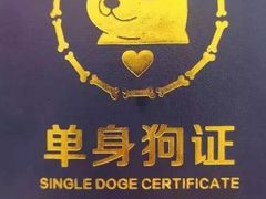 -拾叁茶(罗汉巷店)