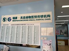 -瑞派·关忠动物医院·异宠专科·犬猫肿瘤·皮肤专科(望京店)