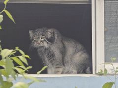 -青藏高原野生动物园