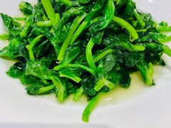酒香豆苗-老吉士酒家(天平路店)
