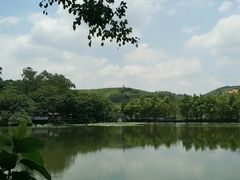 -美丽南方·老木棉匠园·团建烧烤·烤全羊