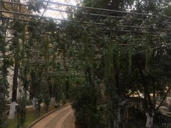 -云南民族大观园