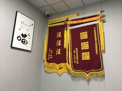 -半岛宠物医院24小时(科华中路店)