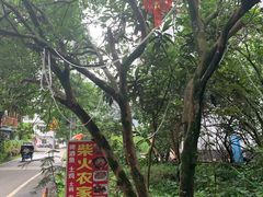 -柴火农家饭(遇龙河店)