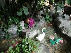 -东方华地城湿地温泉度假区
