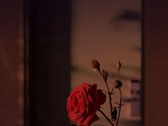 -Lady M New York(澳门伦敦人店)