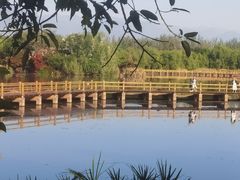 -西昌邛海湿地