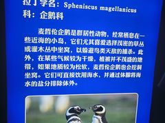 -福州罗源湾海洋世界旅游区