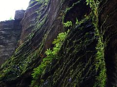 -梭布垭石林景区