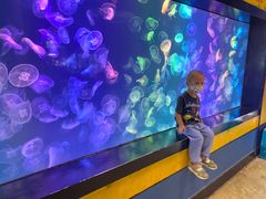 -烟台海昌鲸鲨海洋公园