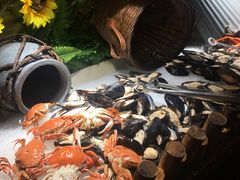 -韩风源自助烤肉(国贸精品店)