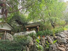 -老茶树山水庭院火锅(126店)