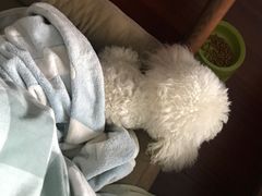 -茉沏(相城天虹店)