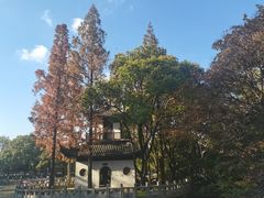 -汇龙潭