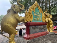 -西双版纳傣族园