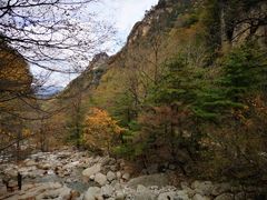 -青峰峡国家森林公园