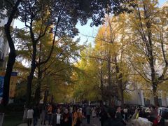 -徐妹串串香(春熙路店)