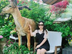 -大隐花事(熊婆婆的花园店)