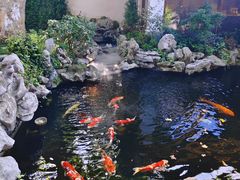 -鲤院·新中式美学·庭院餐厅(夫子庙店)