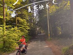 -轻井泽王子购物广场