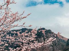 -萍乡武功山风景名胜区