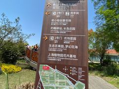 -上海长兴岛郊野公园