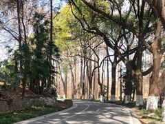 -采石矶景区