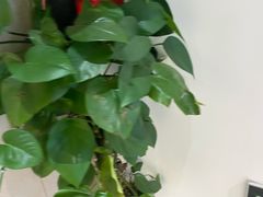 -手舒·采耳按摩·影院足道spa(莫愁湖东路店)