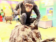 -国家自然博物馆