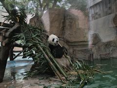 -成都动物园