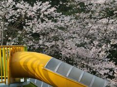 -杭州少年儿童公园