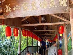 -鲤鱼塘农家山庄