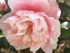 -湘爵士(王府井百货黄兴中路店)