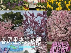 -南山植物园