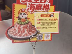-海底捞火锅(步步高新天地店)