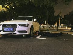 -瑞派申生动物医院·24H夜诊·国际动物医疗中心·骨外科(吴中路店)