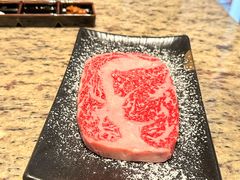 -老乾杯(深圳湾万象城店)