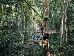 -西双版纳原始森林公园